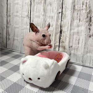 Meet your Posher, Ryo